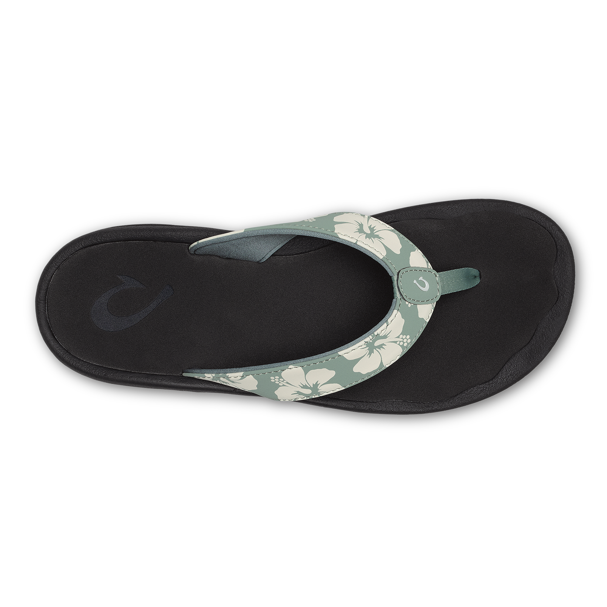 ‘Ohana  -  Silver Pine / Pua