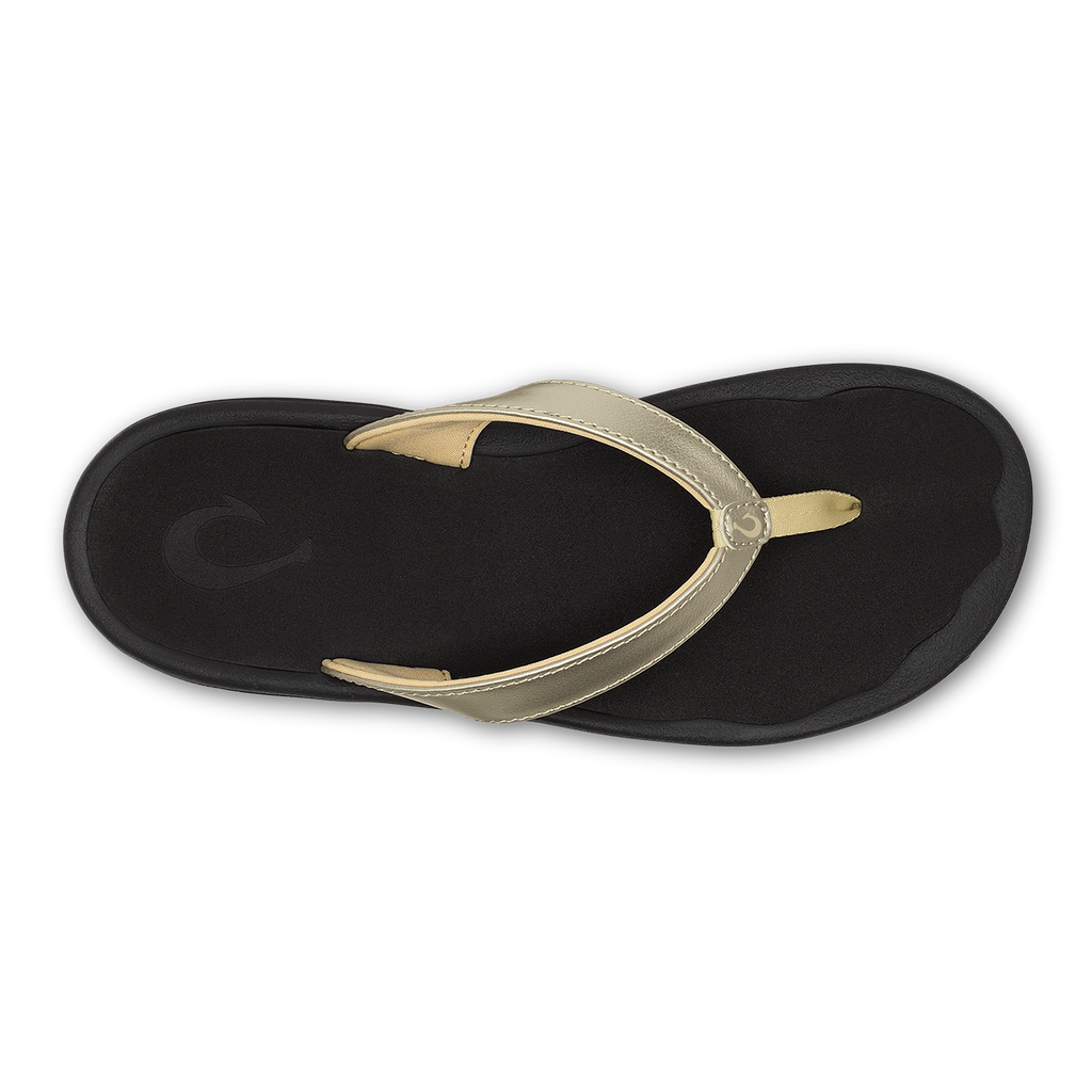 ʻOhana Lahi -  Gold / Black